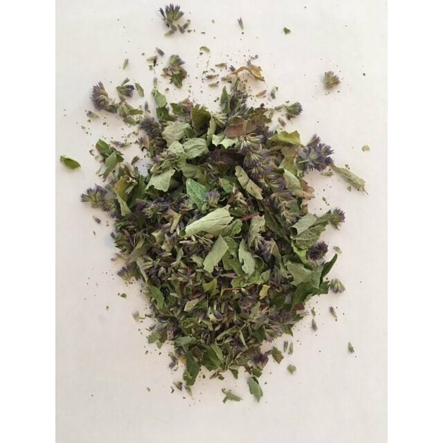 Agastache/Anise-Hyssop