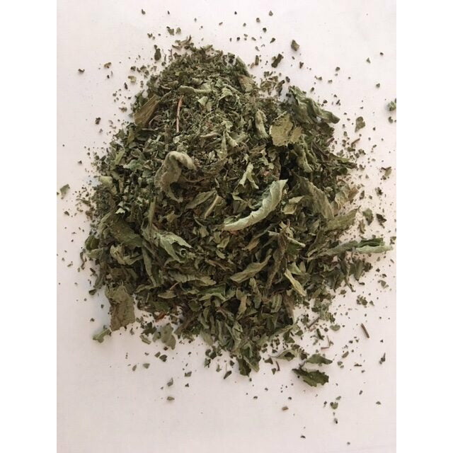Pineapple Sage