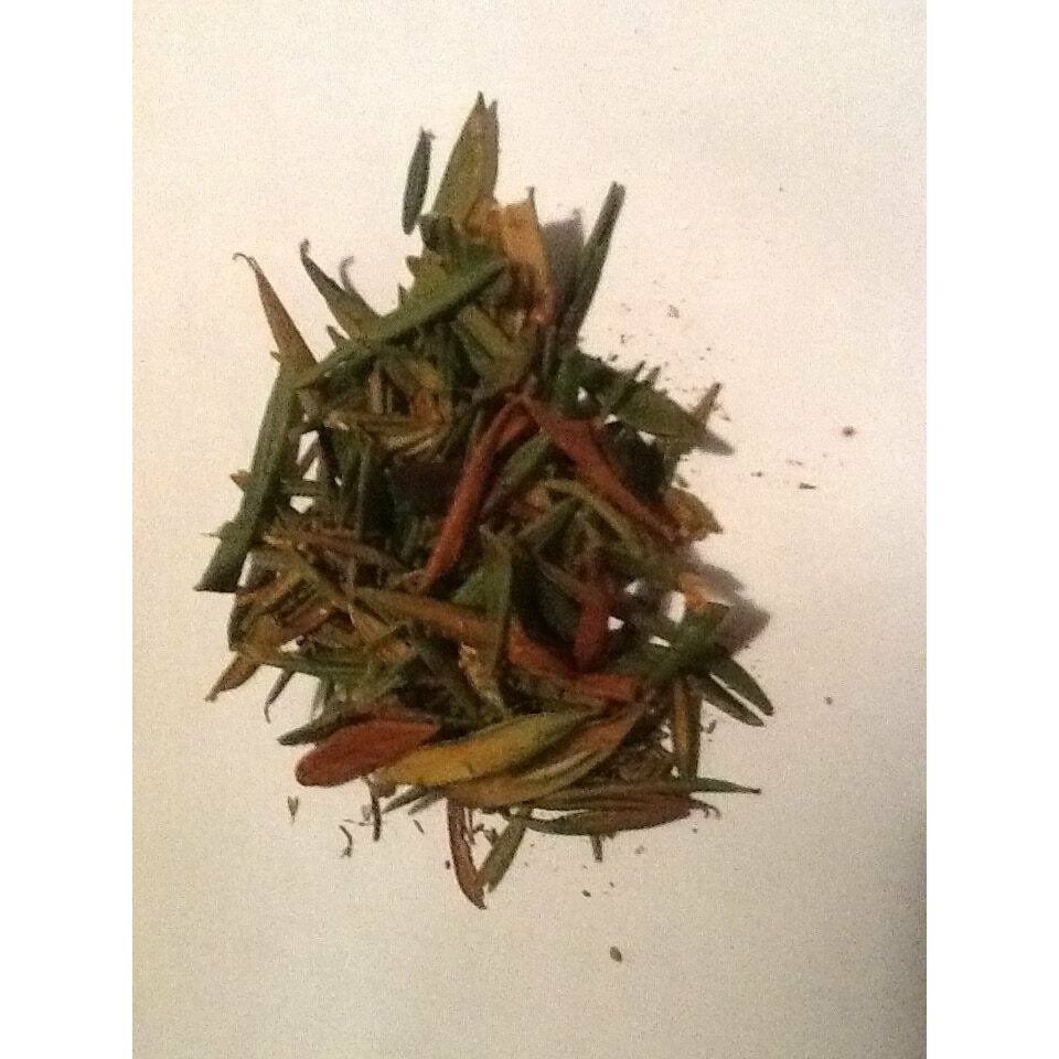 Labrador Tea